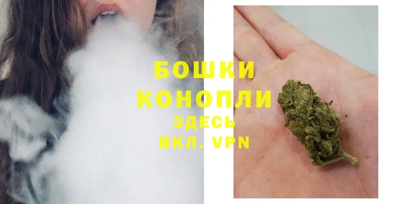 Конопля SATIVA & INDICA  ОМГ ОМГ ссылка  Костомукша 